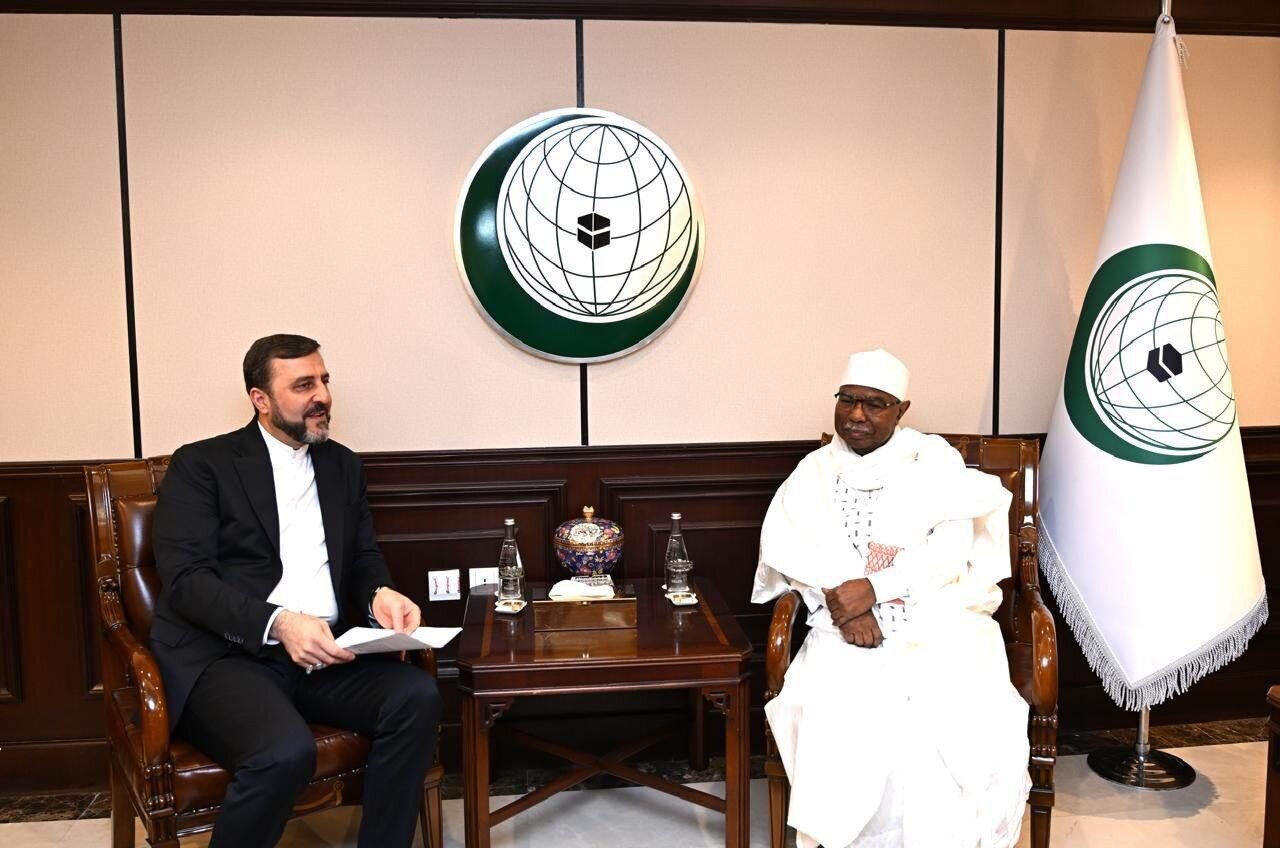 Iran calls for accountability for Gaza crimes in meeting with OIC chief